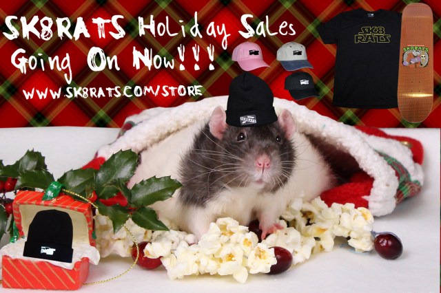 SKR8ATS Christmas AD 2017