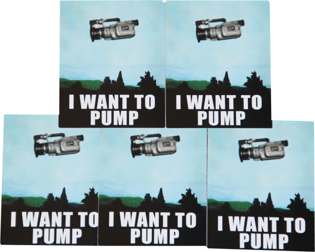 SKR8ATS I Want To Pump Stickers